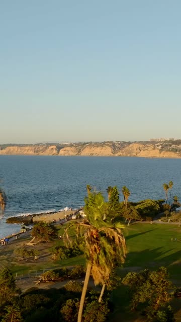 Low aerial view of the cliffs, palm trees and the ocean at La Jolla Cove, with people walking.