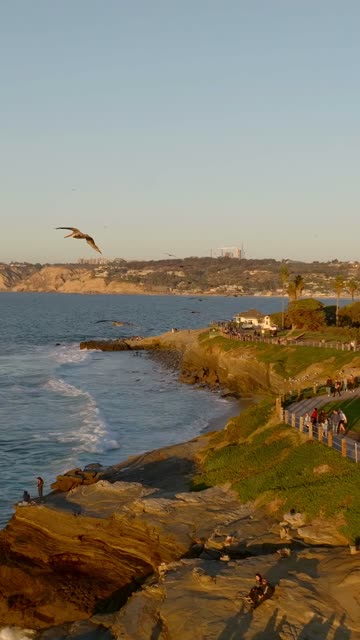 Low aerial view of the cliffs, wildlife and palm trees at La Jolla Cove, with people walking.