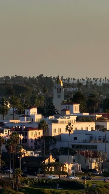 A residential street, palm trees and homes at La Jolla Cove.