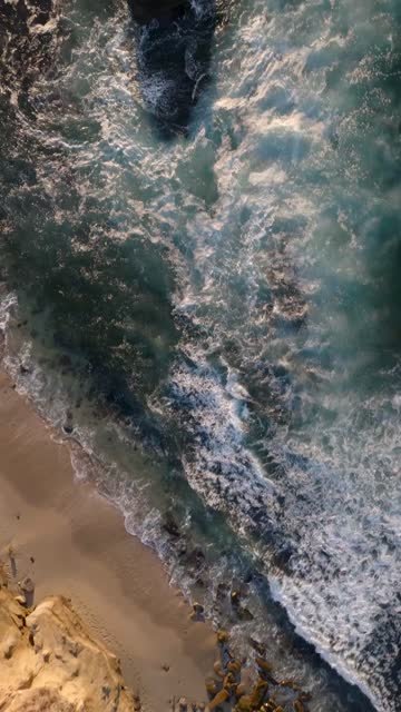 Aerial view of the cliffs, the surf and wildlife at La Jolla Cove.