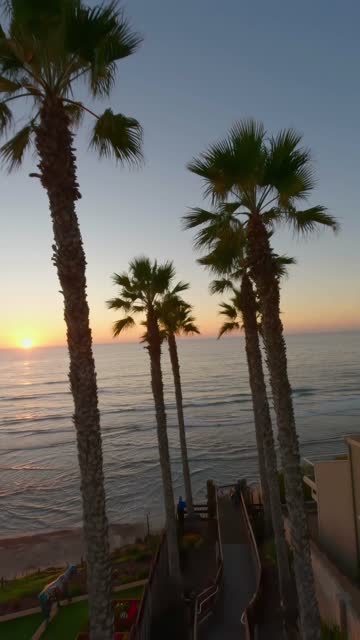 Elevated view of the beach, palm trees and the ocean in Encinitas, with people walking.