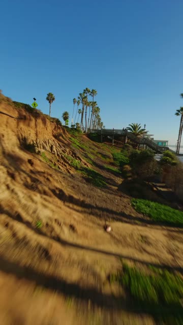 Low aerial view of the cliffs, palm trees and open country in Oceanside, with people walking.