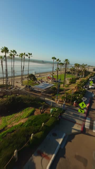 Low aerial view of the beach, palm trees and the ocean in Oceanside, with people walking.