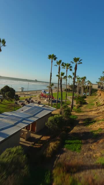 Low aerial view of the beach, palm trees and the ocean in Oceanside.