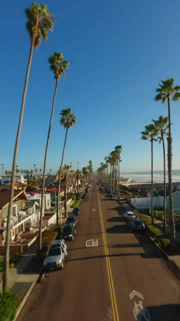 Low aerial view of a residential street, palm trees and the ocean in Oceanside.