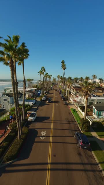 Low aerial view of a residential street, palm trees and the ocean in Oceanside, with people walking.