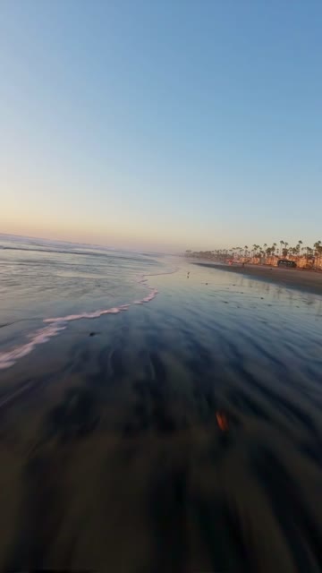 Low aerial view of the beach, the surf and palm trees in Oceanside, with people walking.