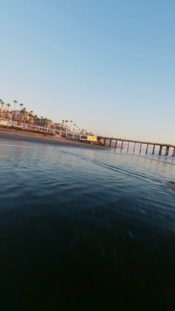 View from the water of the beach, the pier and palm trees in Oceanside.