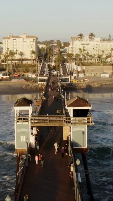 Low aerial view of the beach, the pier and palm trees in Oceanside, with people walking.