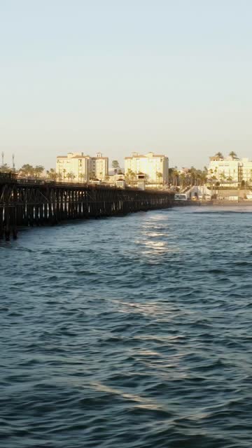 The beach, the pier and palm trees in Oceanside.