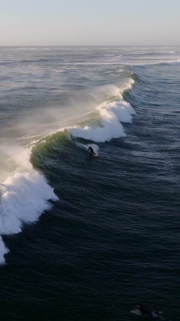 Low aerial view of the beach, the surf and the ocean at Tourmaline, with surfers out.