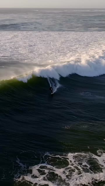 Low aerial view of the beach, the surf and the ocean at Tourmaline, with surfers out.