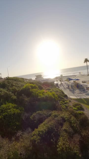 Low aerial view of the beach, palm trees and the ocean at Moonlight Beach.