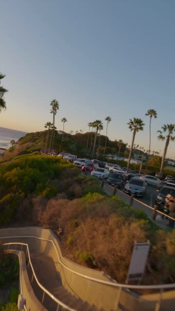 The cliffs, palm trees and the ocean at Swamis.