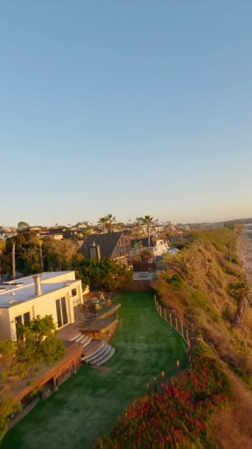 Low aerial view of a residential street, palm trees and homes at Swamis.