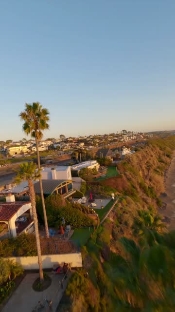 Low aerial view of a residential street, palm trees and homes at Swamis.