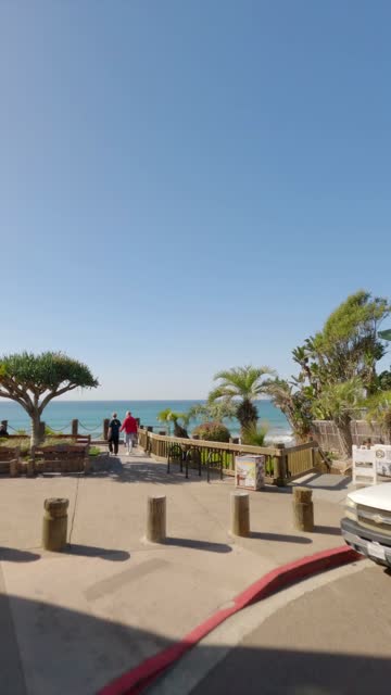 Elevated view of the beach, palm trees and the ocean at Moonlight Beach, with people walking.