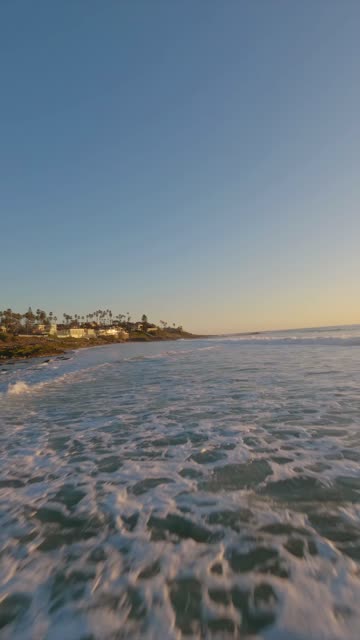 Low aerial view of the beach, the surf and palm trees at Windansea.