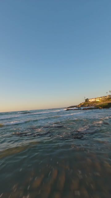 View from the water of the beach, the surf and palm trees at Windansea.
