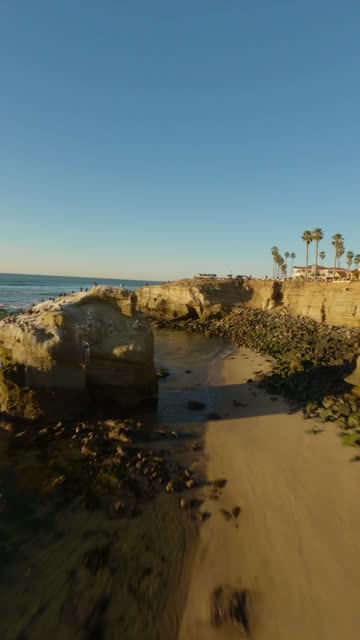 Low aerial view of the cliffs, palm trees and the ocean at Sunset Cliffs.