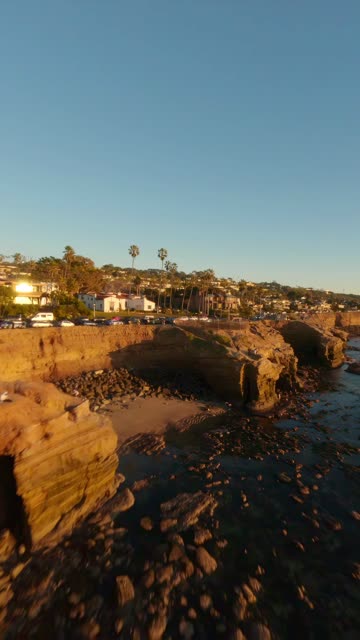 Low aerial view of the cliffs, palm trees and the ocean at Sunset Cliffs.