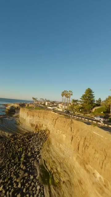Low aerial view of the cliffs, palm trees and the ocean at Sunset Cliffs.