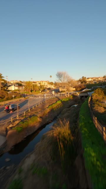 Low aerial view of a residential street, palm trees and homes at Moonlight Beach, with people walking.