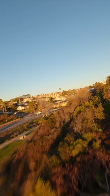 Low aerial view of a residential street, palm trees and homes at Moonlight Beach.