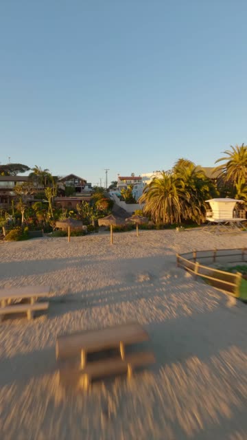 Low aerial view of the beach, palm trees and homes at Moonlight Beach.