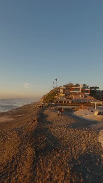 Low aerial view of the beach, palm trees and the ocean at Moonlight Beach, with people walking.