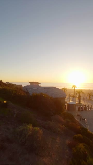 Low aerial view of the beach, palm trees and the ocean at Moonlight Beach.