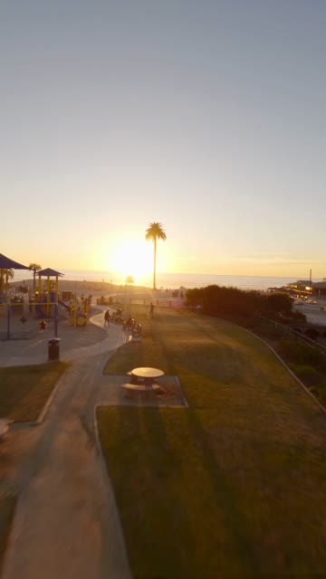 Low aerial view of a park, palm trees and the ocean at Moonlight Beach, with a crowd gathered.