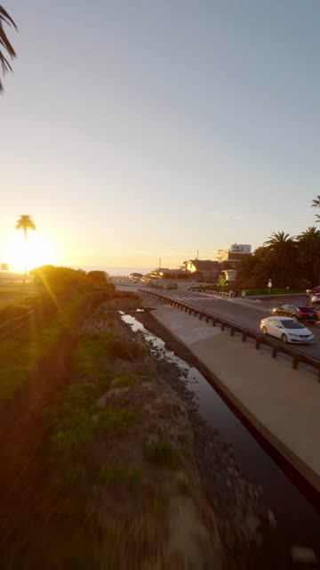 Low aerial view of a residential street, palm trees and the ocean at Moonlight Beach.