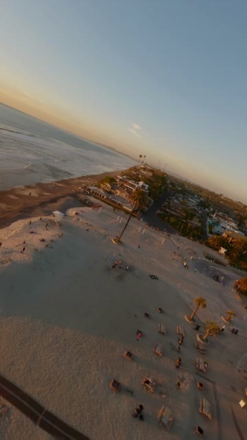 Aerial view of the beach, palm trees and the ocean at Moonlight Beach, with people walking.