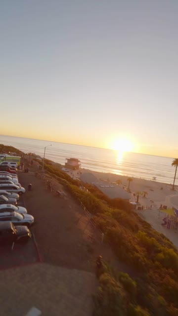 Low aerial view of the beach, palm trees and the ocean at Moonlight Beach, with people walking.