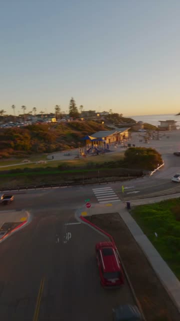 Low aerial view of the beach, palm trees and the ocean at Moonlight Beach.