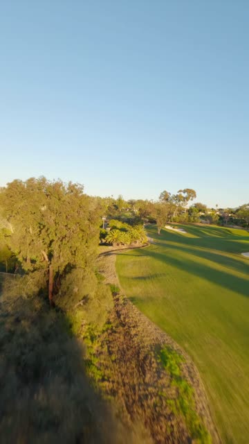 Low aerial view of a park, palm trees and open country at Covenant.