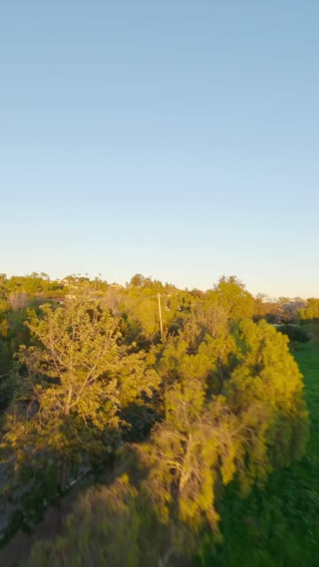 Low aerial view of the country inland and open country at Covenant.