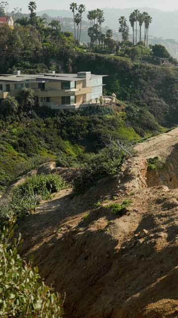 Elevated view of the cliffs, palm trees and homes at Black’s Beach.
