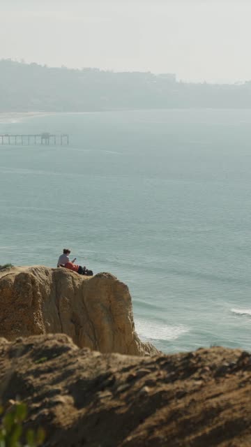 Elevated view of the cliffs, the pier and the ocean at Black’s Beach.