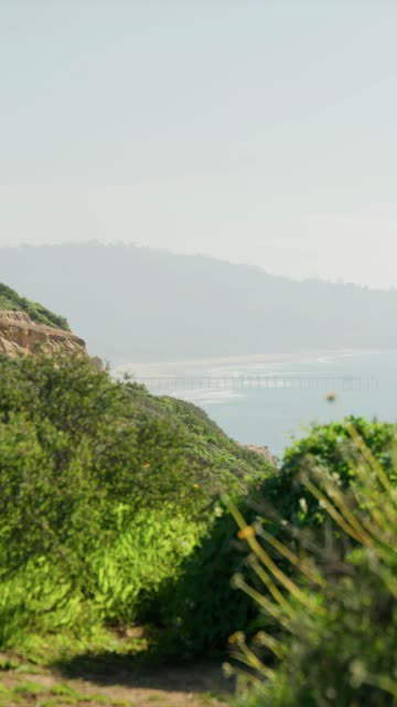 Elevated view of the cliffs, the pier and the ocean at Black’s Beach.