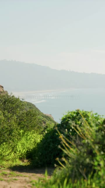 Elevated view of the cliffs, the pier and the ocean at Black’s Beach.