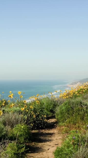 Elevated view of the cliffs, the ocean and the beach at Black’s Beach.