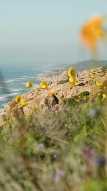 Elevated view of the cliffs, the ocean and the beach at Black’s Beach, with people walking.