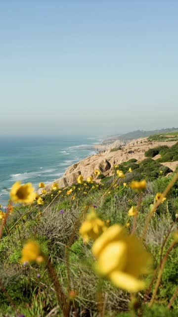 Elevated view of the cliffs, the surf and the ocean at Black’s Beach.