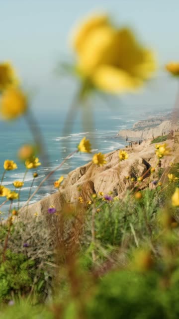 Elevated view of the cliffs, the ocean and the beach at Black’s Beach, with people walking.