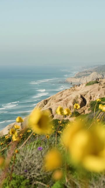Elevated view of the cliffs, the surf and the ocean at Black’s Beach, with people walking.