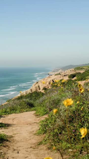 Elevated view of the cliffs, the surf and the ocean at Black’s Beach, with people walking.