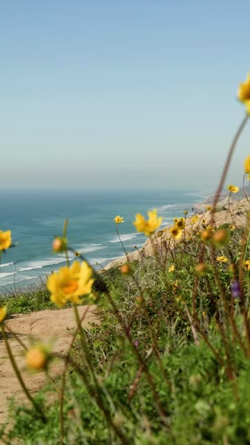 Elevated view of the cliffs, the surf and the ocean at Black’s Beach.