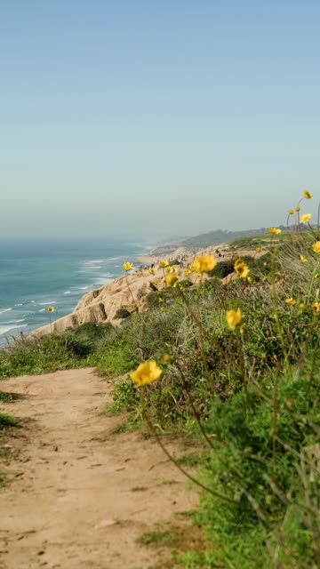 Elevated view of the cliffs, the ocean and the beach at Black’s Beach, with people walking.